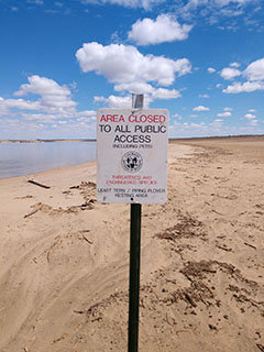 Image of a sign informing the public that the area is closed because of the presence of nesting piping plovers and least terns.